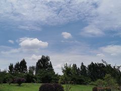 -紫颐香薰山谷景区