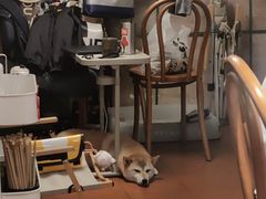 -About Bistro關於·泰式家庭料理