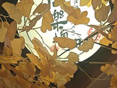 -同乐馆(阳光店)