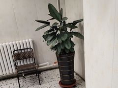 -东北小板凳地摊烧烤(泰来街店)