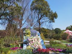 -上海鲜花港