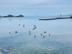 -青海湖二郎剑景区