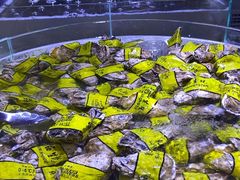 -聚盛源蒸汽海鲜火锅烤肉自助(巨川金海岸购物广场店)