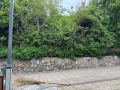 -巢湖姥山岛