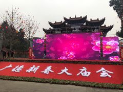 -中国观音故里广德景区