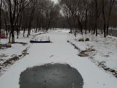 -长白岛森林公园