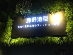 点击看大图 -藤野造型