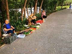 -桤木河湿地公园