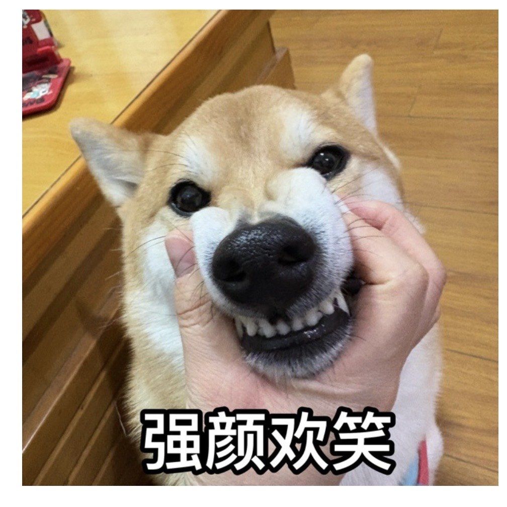 狗狗表情包