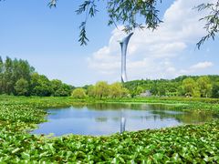 -沈阳植物园
