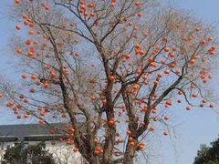 -华山御温泉度假村