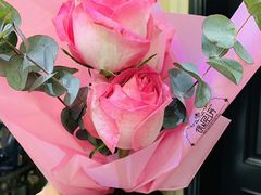 -金陵之星大酒店·中餐厅