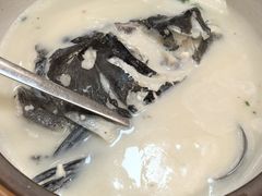 -全乐鱼馆·淳牌有机鱼直营店