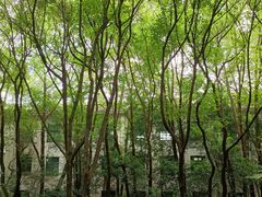 -杭州半山国家森林公园