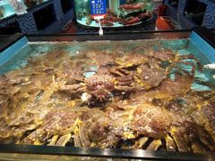 -尚海豆捞(乐虹坊店)