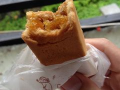 凤梨酥-微热山丘(台北民生公园门市店)