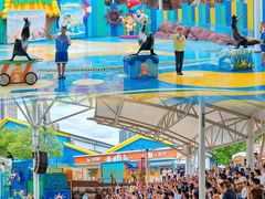 -海合安成都极地海洋公园