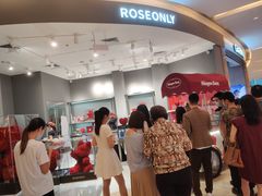 -ROSEONLY诺誓(广州K11店)