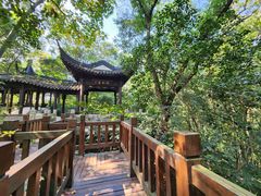 -上海佘山国家森林公园天马山园