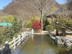 -麦积山温泉