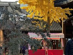 -周庄古镇景区-双桥