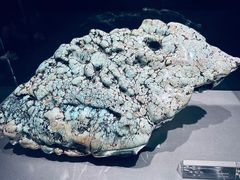 -中国地质博物馆