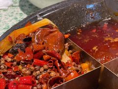 -五里关火锅(牛市口店)