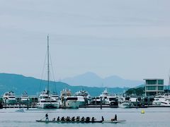 -宝安西湾红树林湿地公园