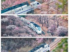 -居庸关长城
