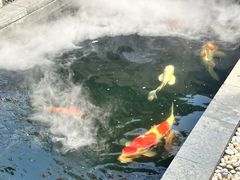-西安市广仁寺