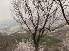 -北京西山国家森林公园