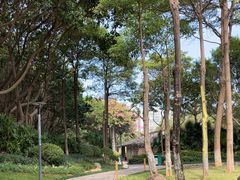 -五缘湾湿地公园