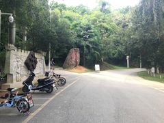 -分塔山省级森林公园