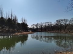 -大兴滨河森林公园