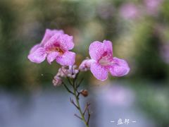 -盛邦家居建材广场