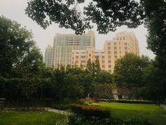 -徐家汇源景区-衡山公园