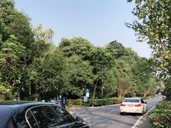 -西湖风景区-江洋畈生态公园