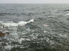 android_upload_pic-老虎石海上公园