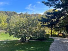 -云峰山自然风景区