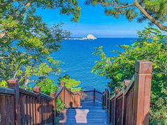 -烟台海昌鲸鲨海洋公园