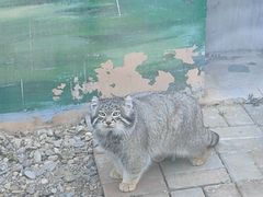 -青藏高原野生动物园
