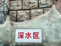-重庆海昌加勒比海水世界