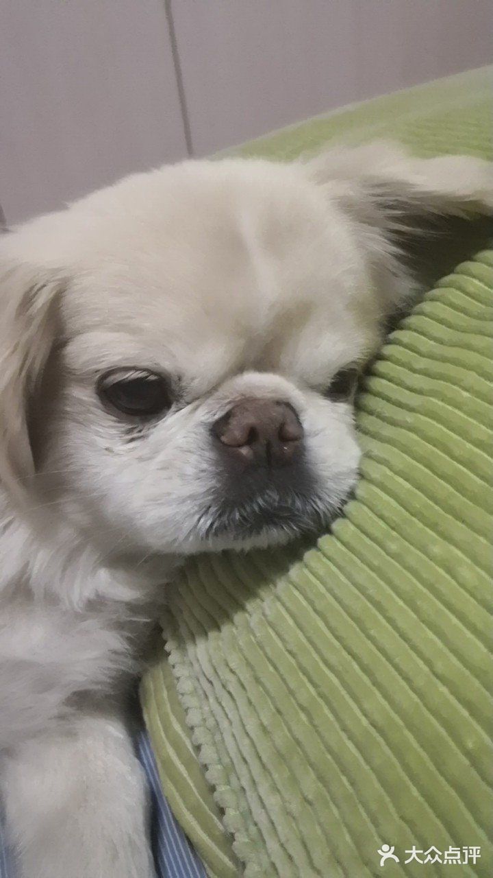 乒小乓，你想姐姐了吗？