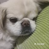 乒小乓,你想姐姐了吗?