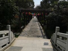 -白马涧龙池景区