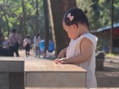 -南宁良凤江国家森林公园