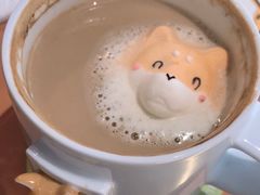 -柴务处·柴犬主题狗咖