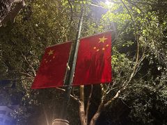 -河南省人民医院(院本部)
