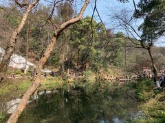 -岳麓山风景名胜区