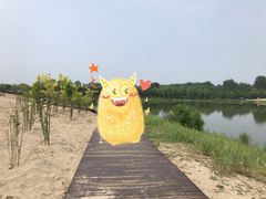 -东郊湿地公园